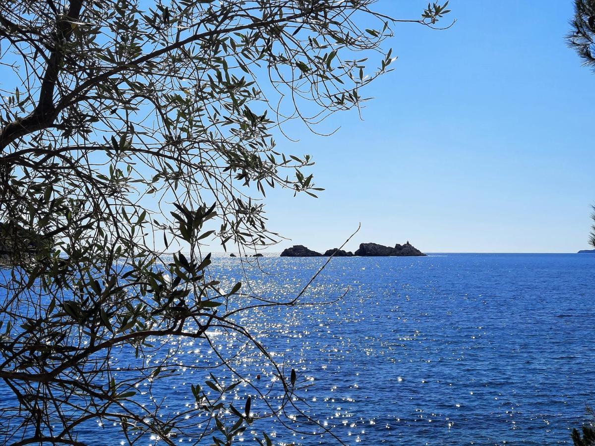 Blue Promenade Dubrovnik